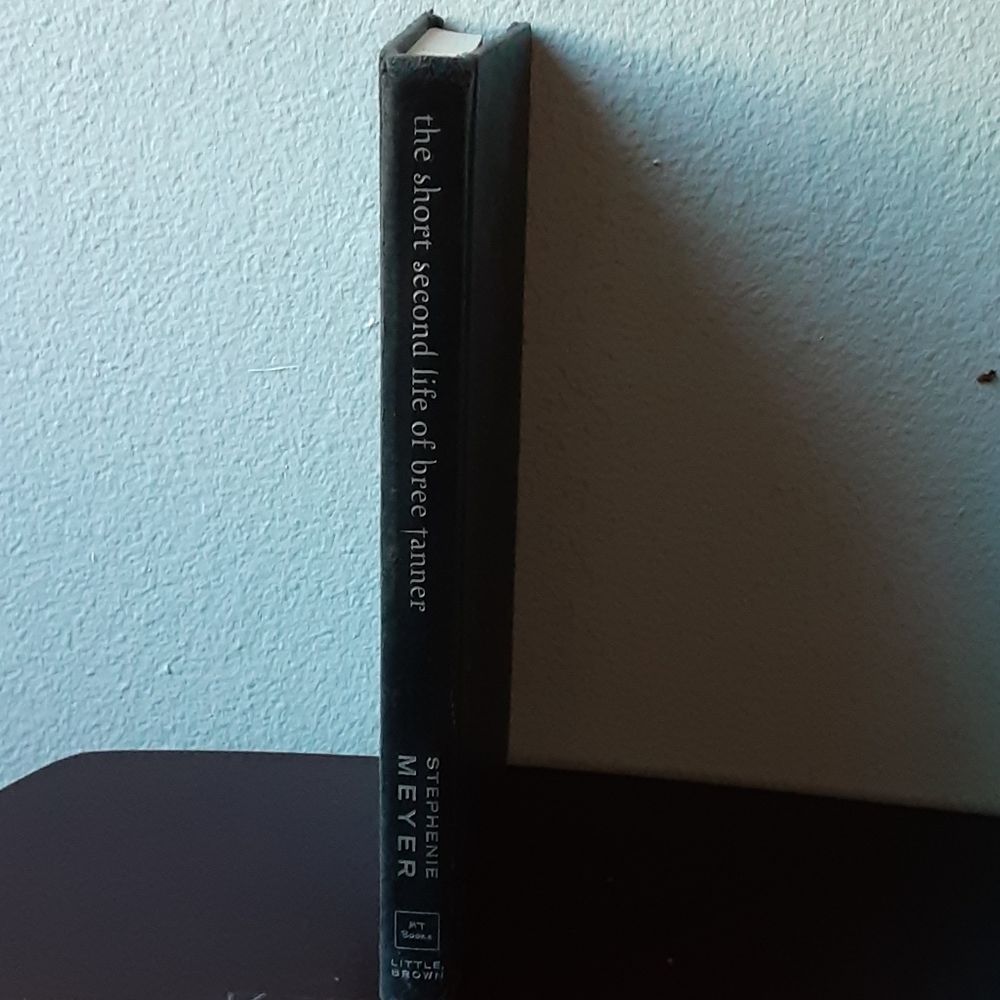 Twilight sequel book